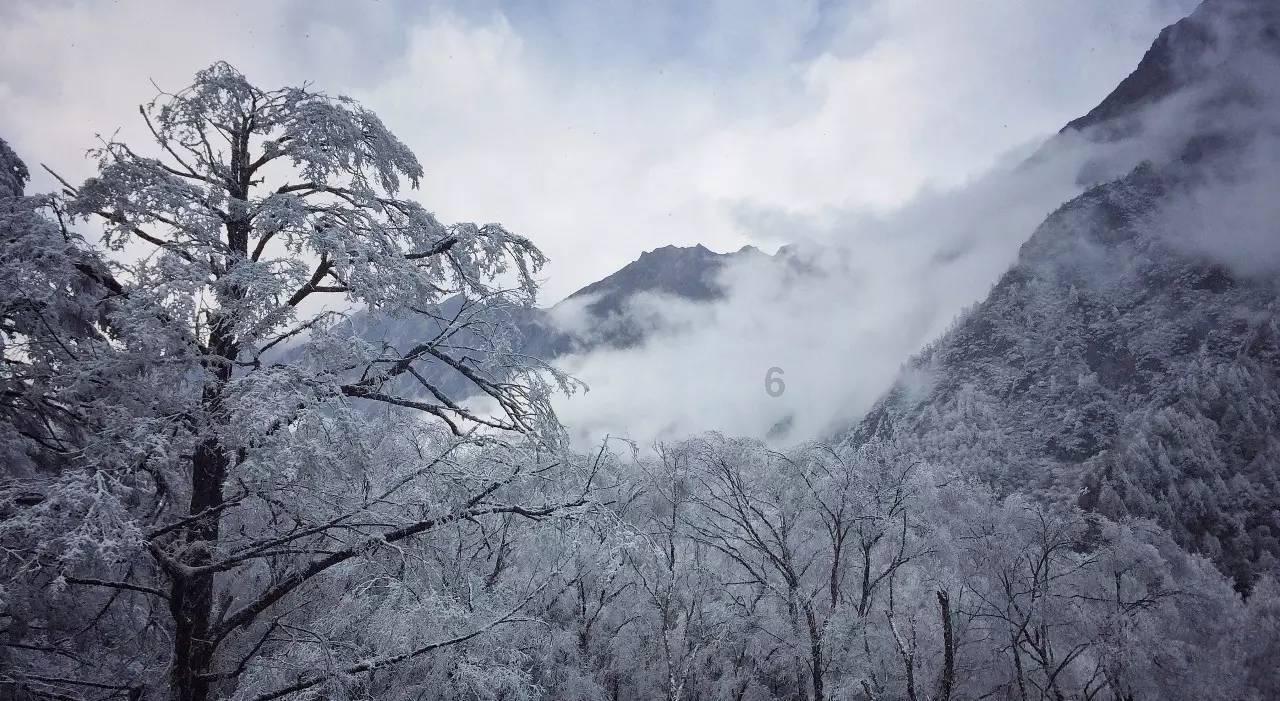 冻过的水果为什么会变软？